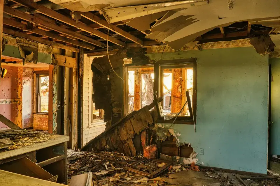 Santa Maria's Local Mold & Environmental Remediation Experts — Santa Maria, CA
